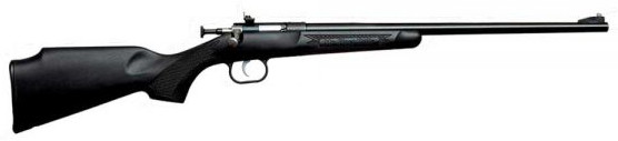 Keystone Crickett 22lr Blued - Black Synthetic W/Scope - Click Image to Close
